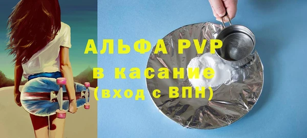 прущие грибы Абинск
