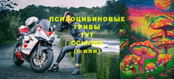 прущие грибы Абинск