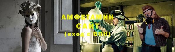 прущие грибы Абинск