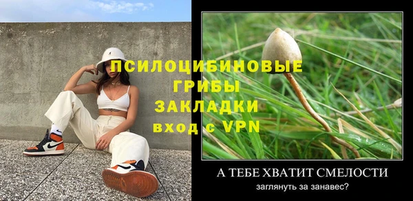 прущие грибы Абинск