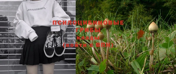 прущие грибы Абинск