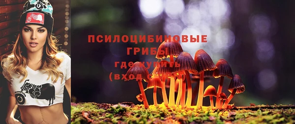 прущие грибы Абинск