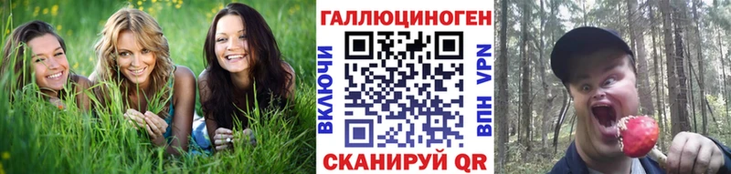 Псилоцибиновые грибы MAGIC MUSHROOMS Великий Новгород