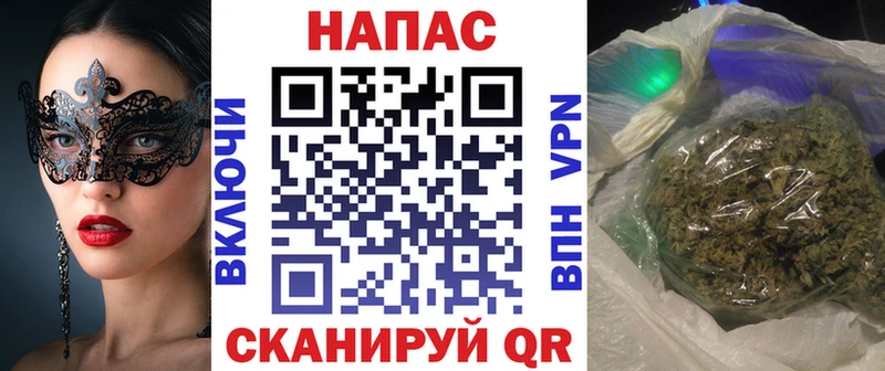 где найти   Великий Новгород  Шишки марихуана ГИДРОПОН 